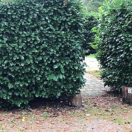 Willa Vrijstaand Chalet In Bospark Hattemerbroek Zewnętrze zdjęcie