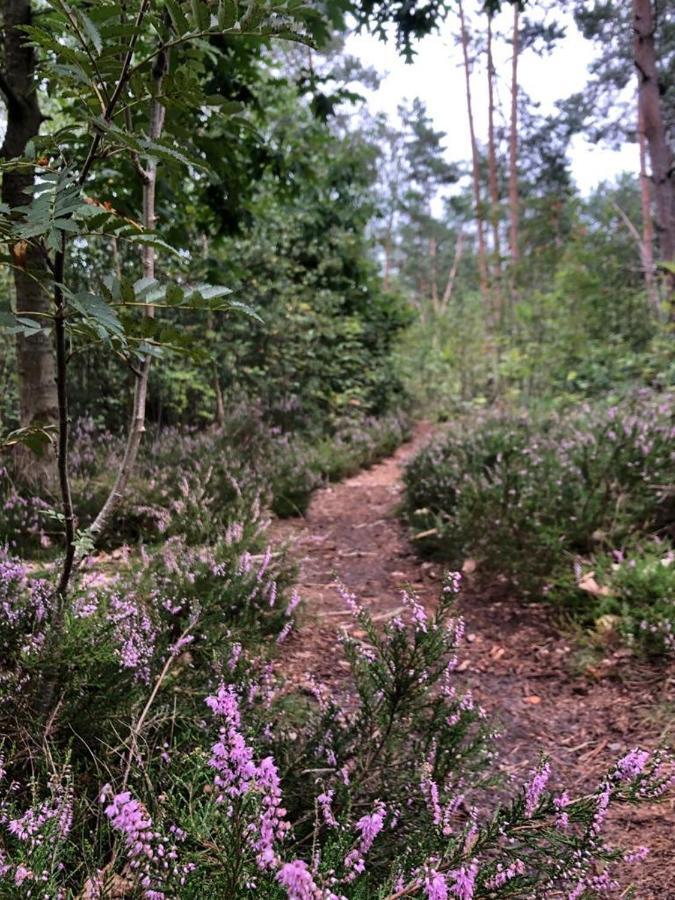 Willa Vrijstaand Chalet In Bospark Hattemerbroek Zewnętrze zdjęcie
