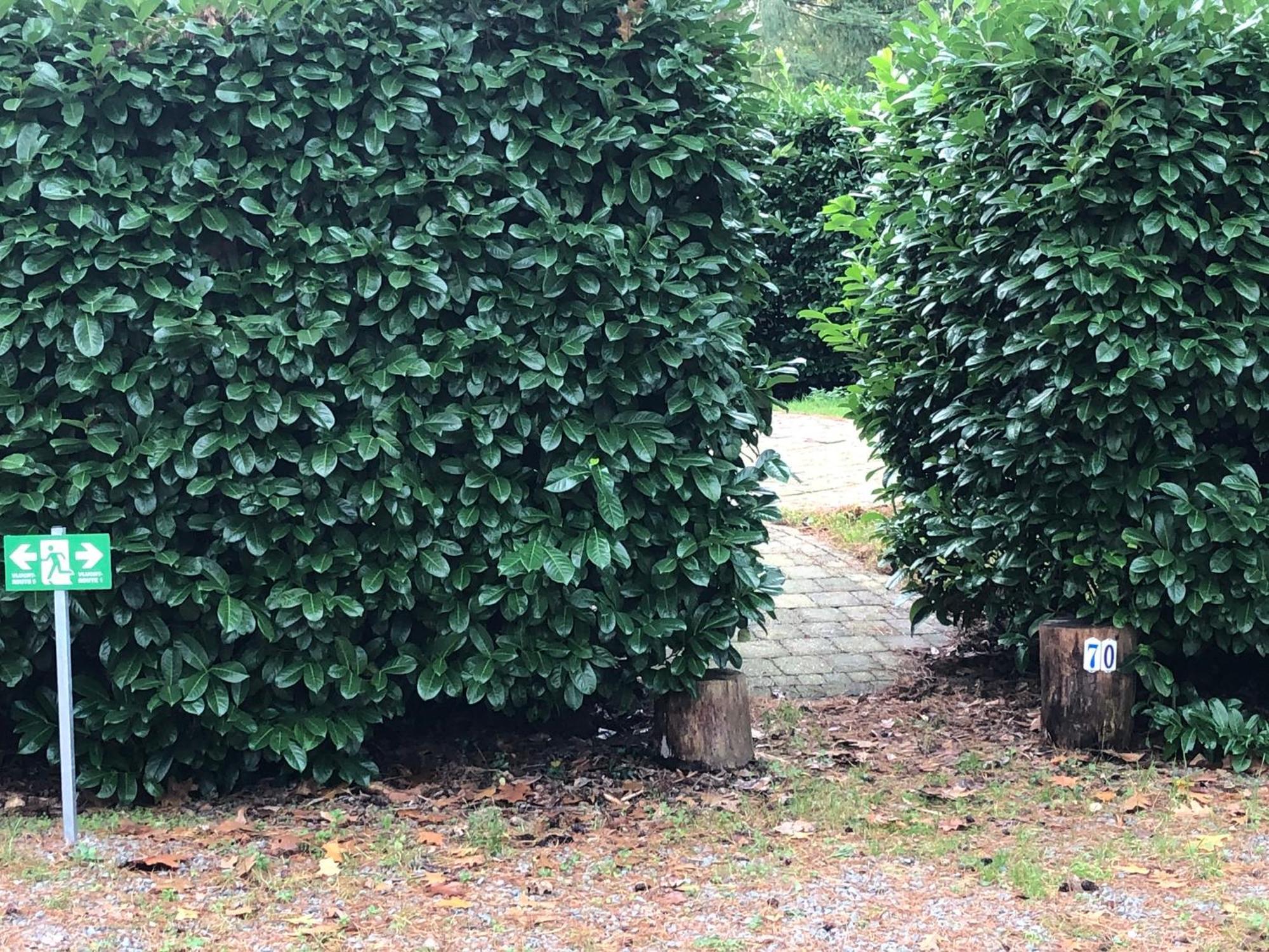 Willa Vrijstaand Chalet In Bospark Hattemerbroek Zewnętrze zdjęcie